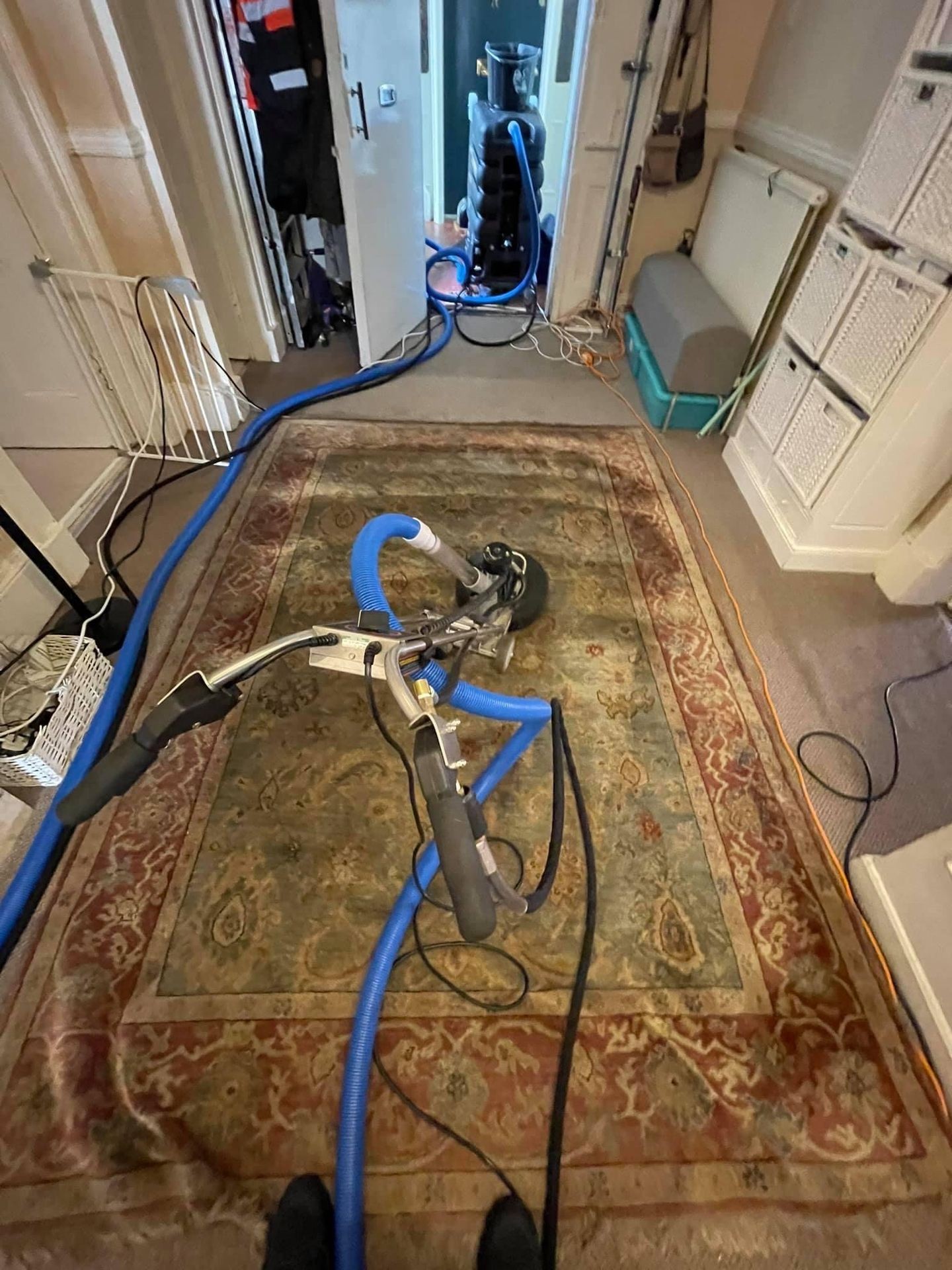 Rug cleaning Glasgow rug cleaner near me rug odour and stain removal Glasgow 