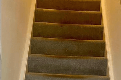 Before Stair Carpet Cleaning